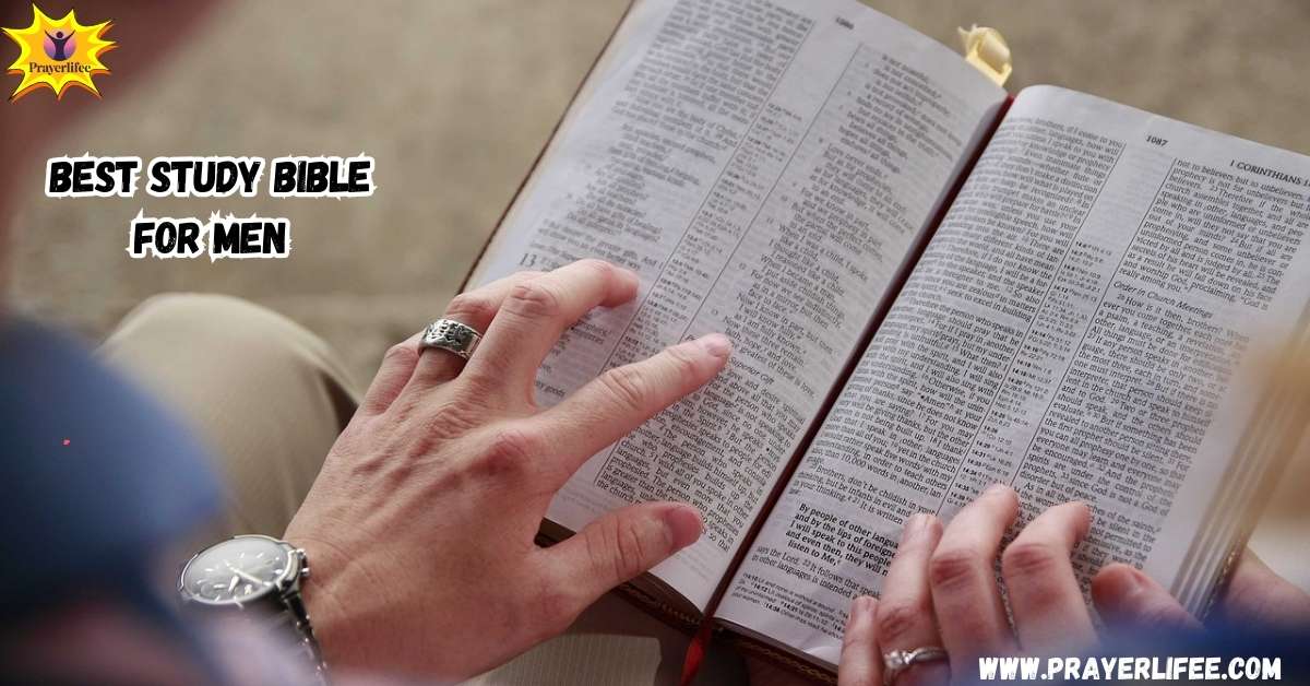 Best Study Bible for Men of Faith: Our Top 9 Picks