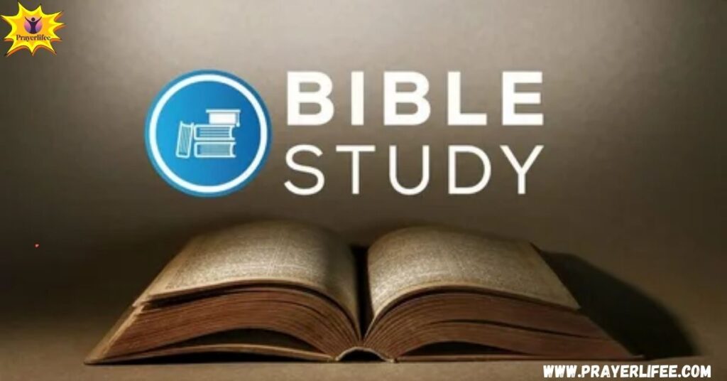 Best Study Bibles