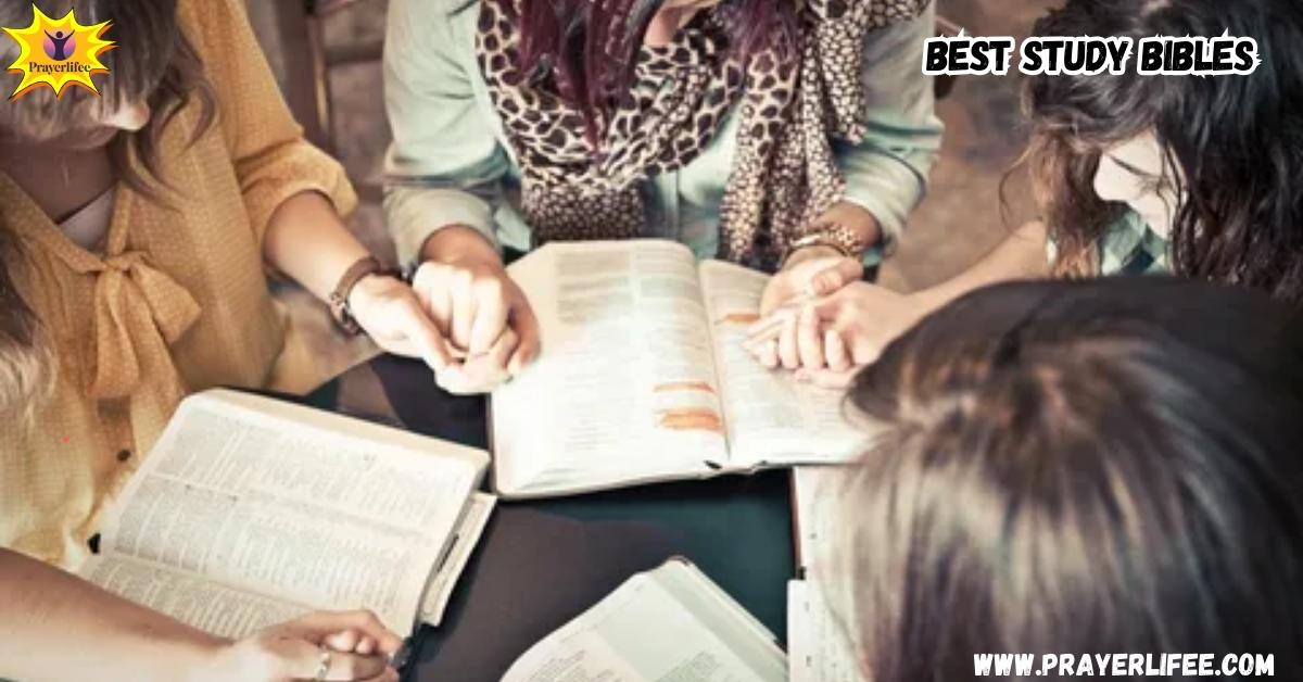 Best Study Bibles