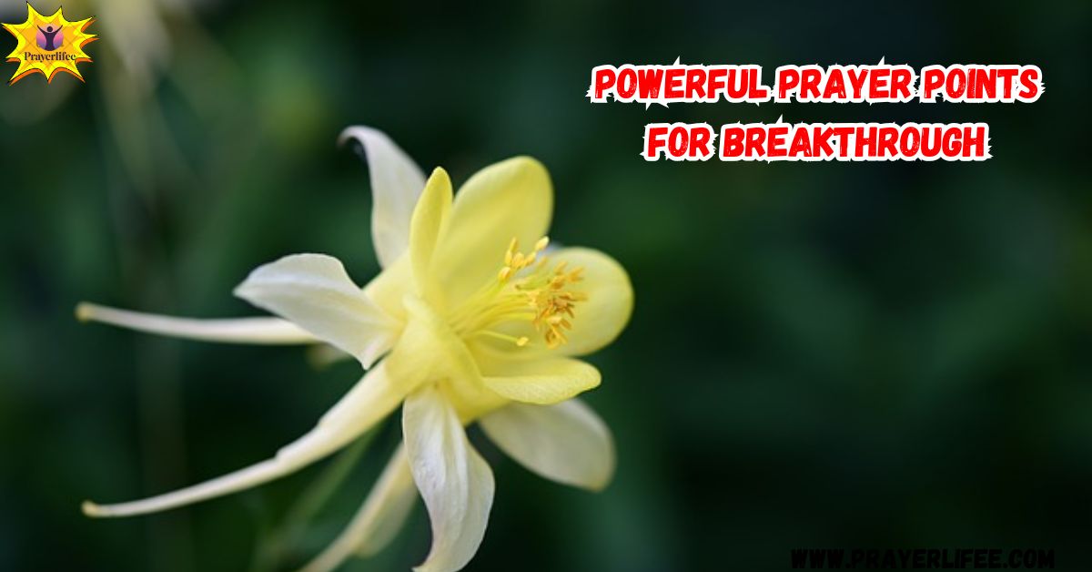 Powerful Prayer Points for Breakthrough